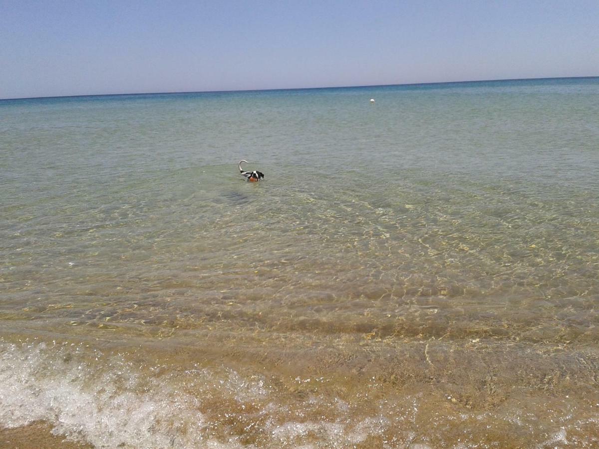 Profumo Di Mare Fronte Spiaggia Lido di Noto エクステリア 写真